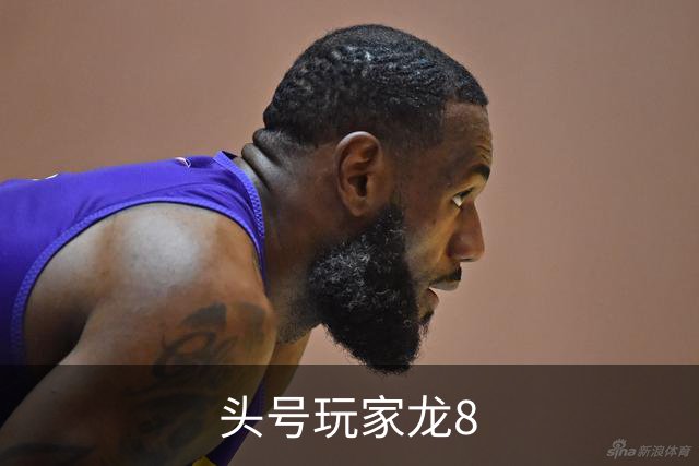 头号玩家龙8公司简介图
